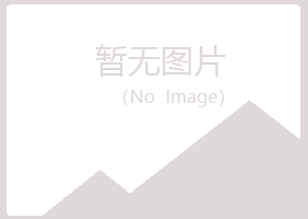 芦山县夏岚工程有限公司